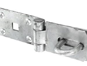 Hasp & Staple